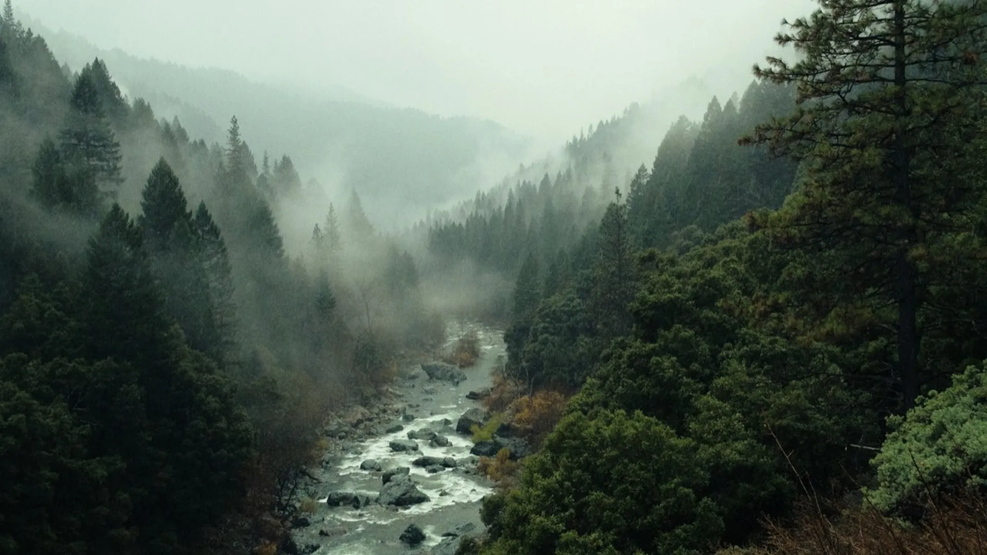 Foto original: un río entre montañas con pinos y niebla.